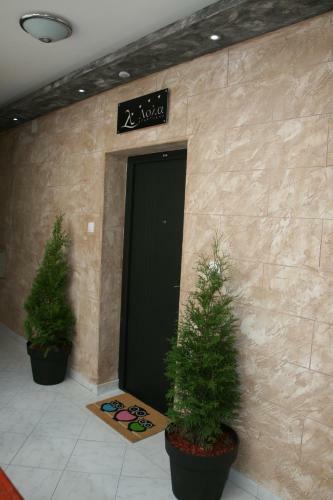 Lola Apartments