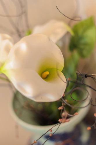 Apartment Greenview