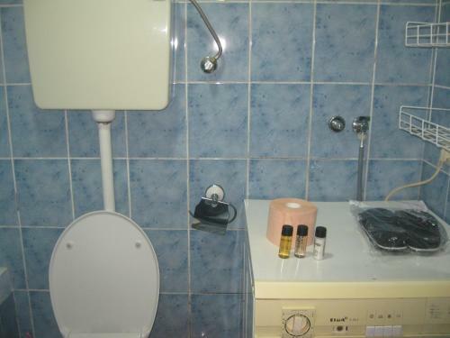 White House Apartment