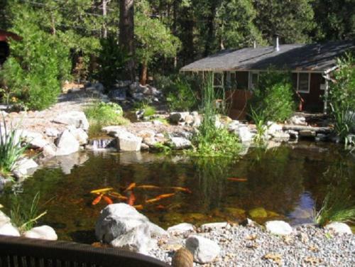 Posada Silver Pines Lodge