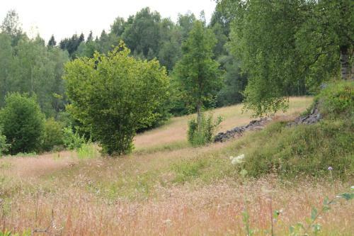 Apartamento L�v�s G�rd Koppera