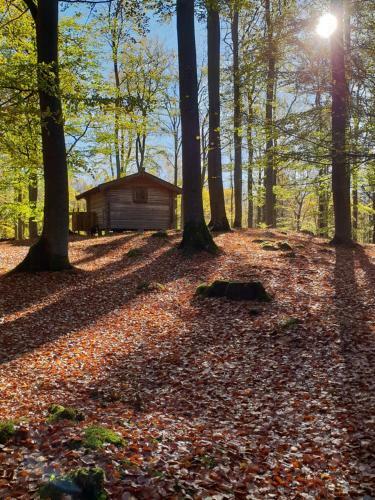 Lodge Bokebacken