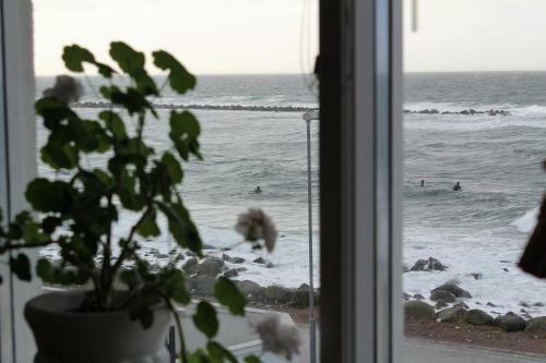 Bed & Breakfast Pensionat Strandg�rden