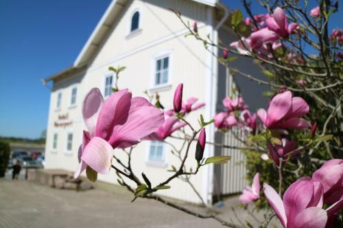 Hotell V�nerport