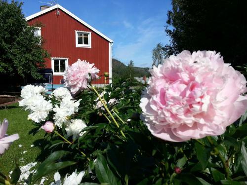 Apartamento Ume� Tavelsj�n L�genhetsboende