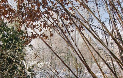 Holiday Home Askebr�nnarev. V. Torup