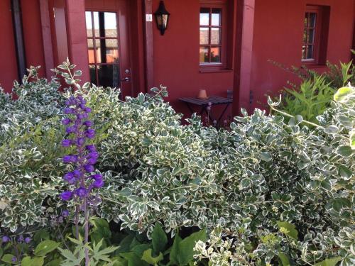 Agroturismo Wirketorp Countryside Hotel