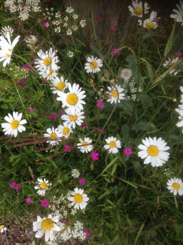 Albergue Mora Vandrarhem Och G�sthem