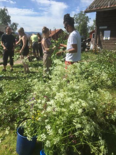 Albergue Mora Vandrarhem Och G�sthem
