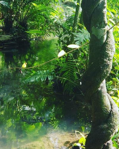 Hostal Casa De Campo Charme Da Serra Da Bodoquena