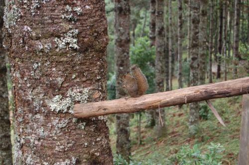 Hostal Pousada �gape