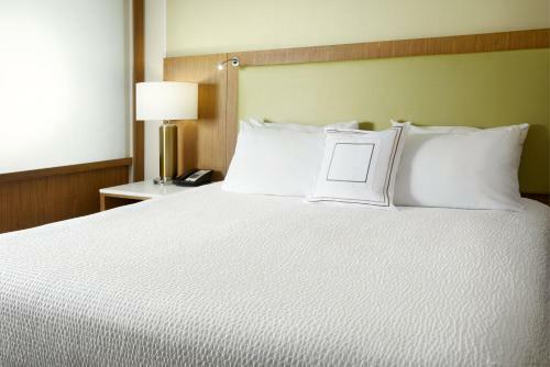 Hotel Springhill Suites Pittsburgh Bakery Square