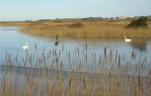 Holiday Home Arvidvej IV Dnmk