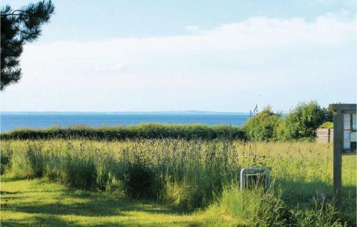 Two-bedroom Holiday Home In Brenderup Fyn