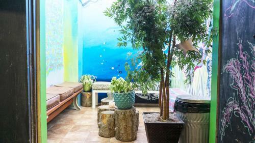 Ith Zoo Hostel San Diego