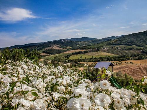 Apartamentos Locazione Turistica Allerona.3
