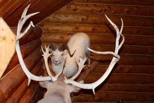 Wise Old Hunter Lodge