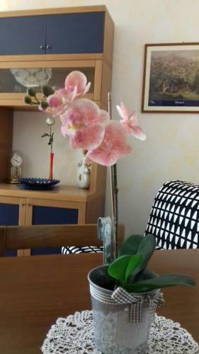 Apartamento Il Tuo Nido Sul Lago