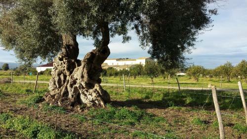 Agroturismo Case Del Feudo Di Pietro Beneventano