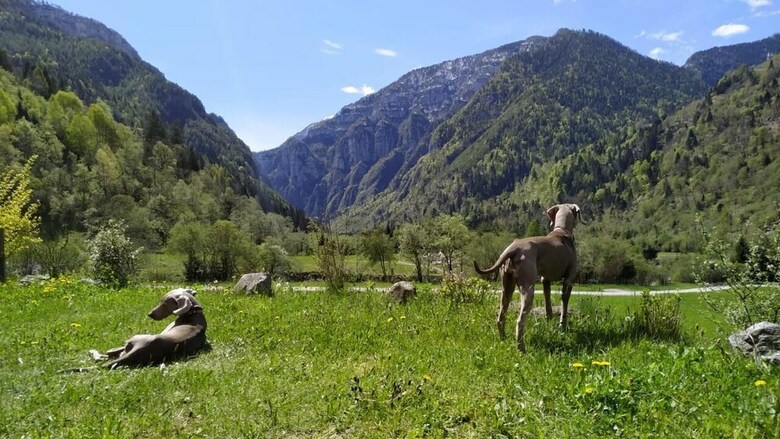 Bed & Breakfast Eco-baita Natura Spensierata