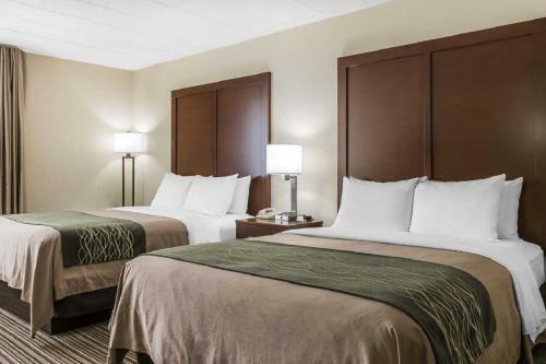 Hotel Comfort Inn - Pocono Mountain