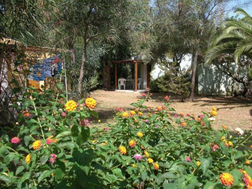 Cugnana Porto Rotondo Bungalows - Camping