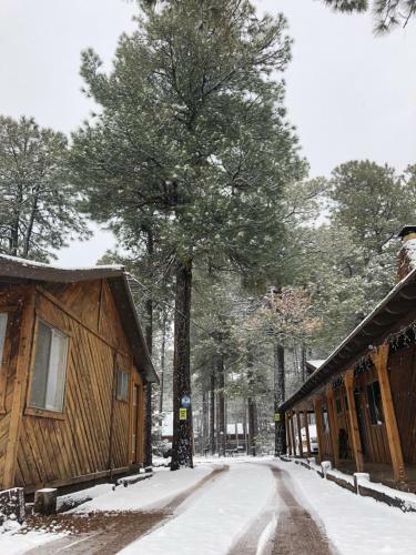 Posada Timberlodge Inn