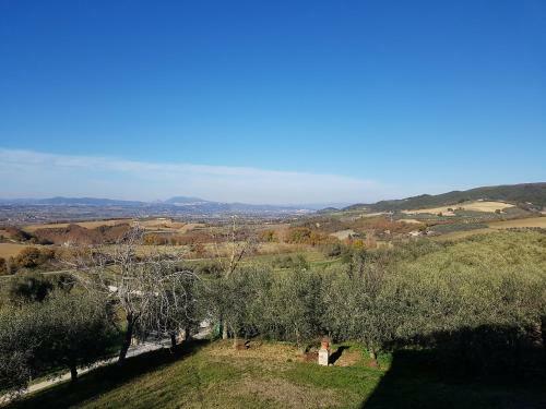 Bed & Breakfast La Collina