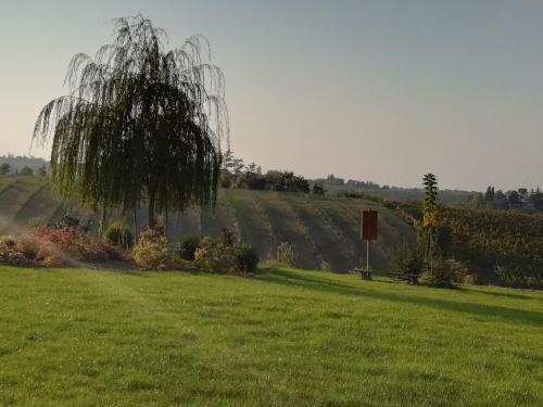 Agroturismo Agriturismo La Rinaldina