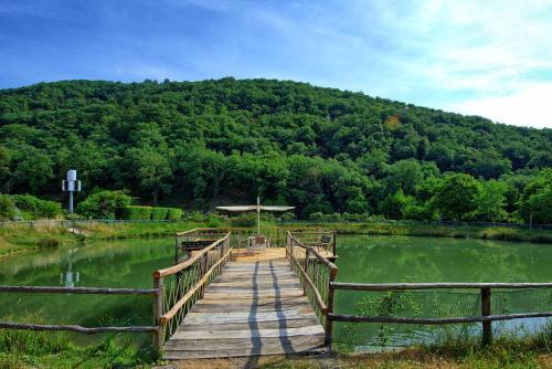 Figline Valdarno Apartment Sleeps 4 T241289