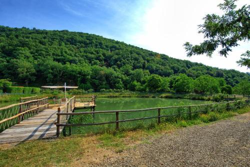 Figline Valdarno Apartment Sleeps 6 T241296