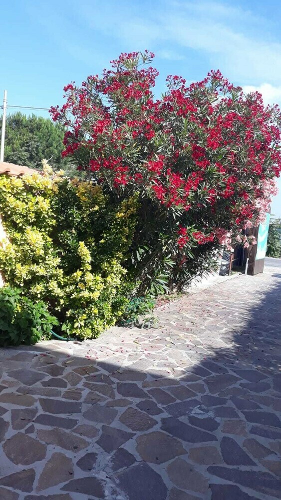 B&B Fiumicino Airport Resort