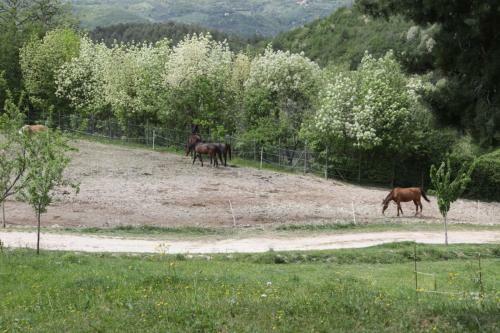 Agroturismo Agriturismo San Martino