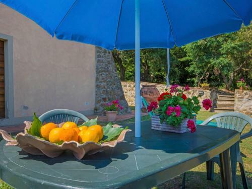 Apartamentos Locazione Turistica Il Ceppeto