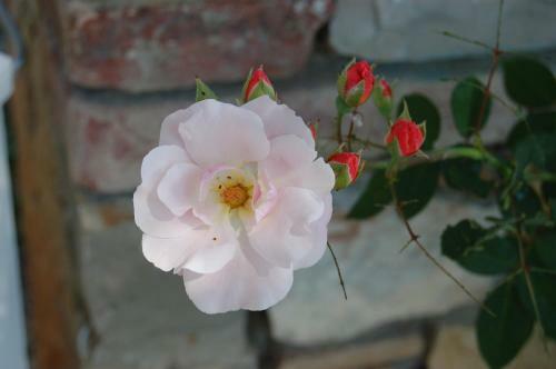 B&B Podere Il Colto