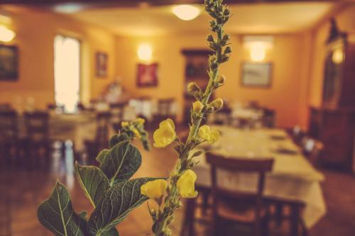 Agroturismo Agriturismo I Sur� Asti