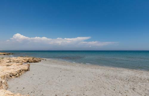 Fidalsa Sea La Vie