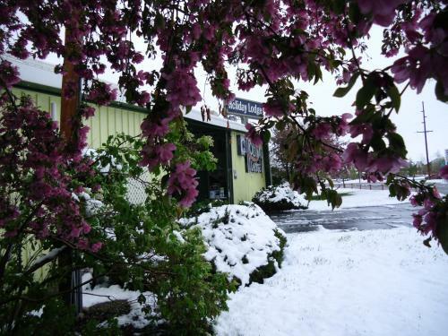 Motel Holiday Lodge