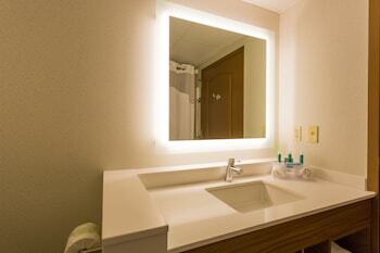 Holiday Inn Express Hotel & Suites Reading
