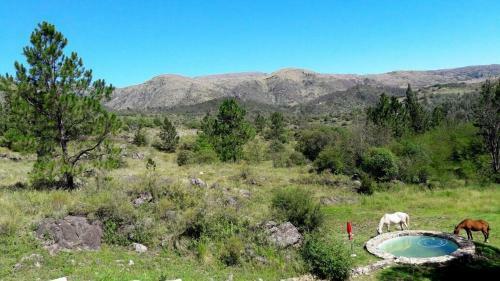 Casa De Campo En San Clemente, C�rdoba