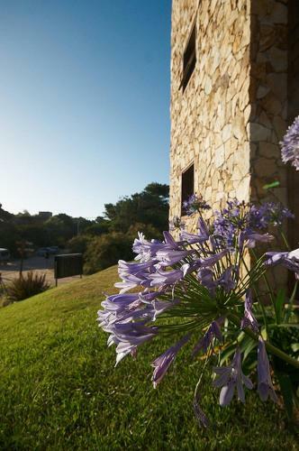 Vi�as Del Mar Apart & Spa Aparthotel