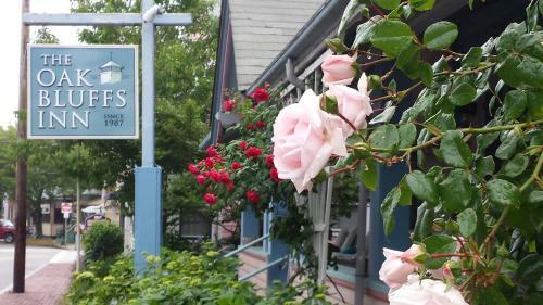 Posada The Oak Bluffs Inn