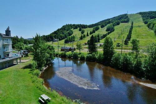 Apartamento Chalet - 620 Chemin Du Hibou #006
