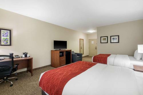 Hotel La Quinta Inn & Suites Cedar Hill