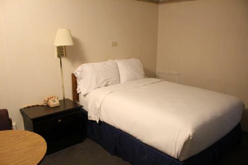 Motel Red Carpet Inn North East
