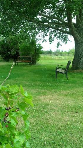 Agroturismo Lovely Green Gable Home