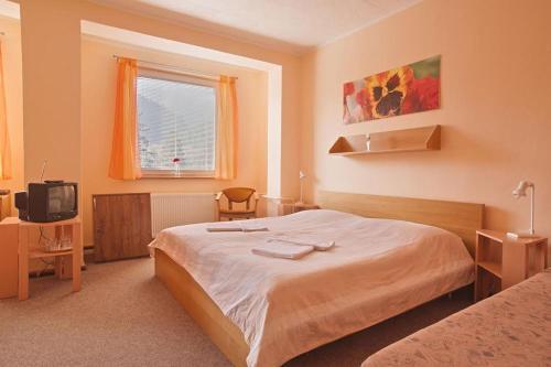 Hotel Borova Sihot