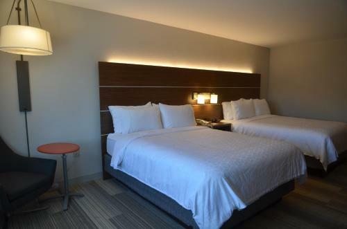 Holiday Inn Express Hotel & Suites Rochester