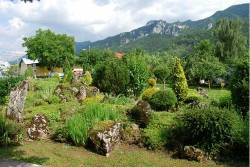 Hostal Penzi�n ?u?tiak