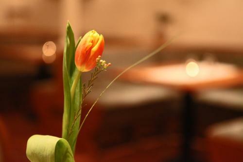 Hostal Penzion & Wellness Zoborska